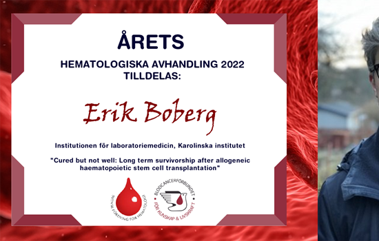 Blodaderinsidan Blodplattar 1400Pxb BLCF Med Montage Erik Boberg O Diplomet