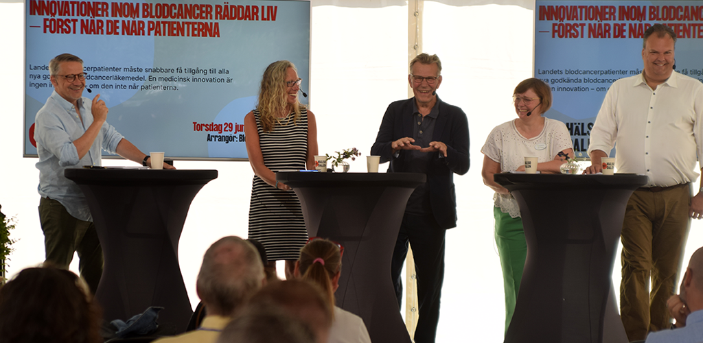 Almedalen BLCF Debatt Fhsj DSC 0062 72Dpi
