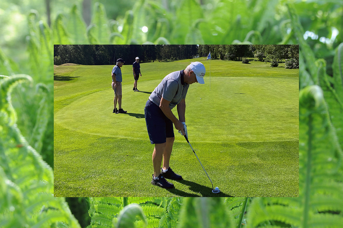Ormbunke Genre Folk Fhsj (3) Montage Falkopings Golfklubbspelare 60 Golfen 2024