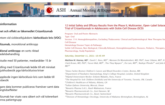 Foskningsbloggen V11 Bild