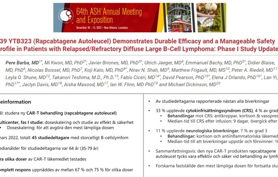 Foskningsbloggen V4 2023