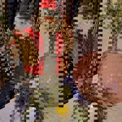 5137Fca9 902C 434B A6fc E77de41d5086