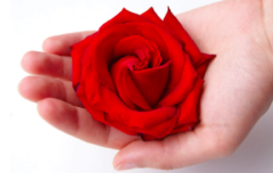 Skärmavbild 2016 10 10 Kl. 23.08.41