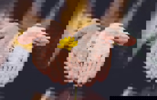 Lina Trochez Ktpkyus3qjs Unsplash