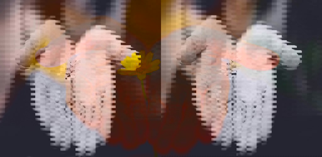 Lina Trochez Ktpkyus3qjs Unsplash