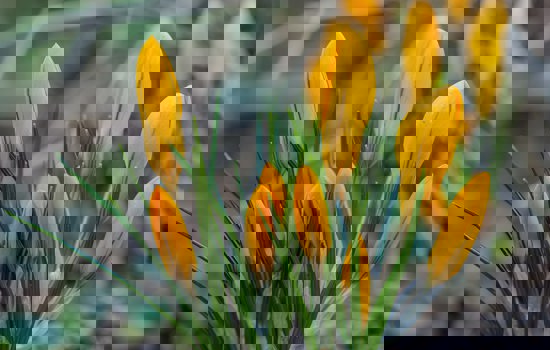 Yoksel Zok Tpvohsdvpam Unsplash