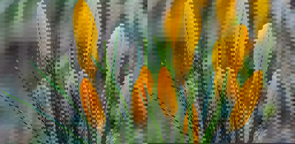 Yoksel Zok Tpvohsdvpam Unsplash