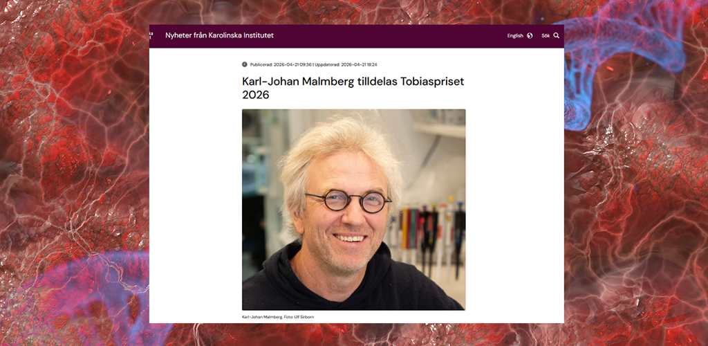 Dna 4334173 Fri Bild Pixabay Gerd Altmann Montage M Tobiaspriset 2026 Karl Johan