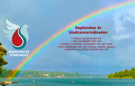 Genrebild BLCF Ny Logotyp 2024 Regnbagen Fhsj IMG 0312 Grundbild Diagnosdagar I September