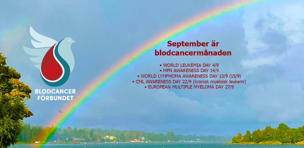 Genrebild BLCF Ny Logotyp 2024 Regnbagen Fhsj IMG 0312 Grundbild Diagnosdagar I September