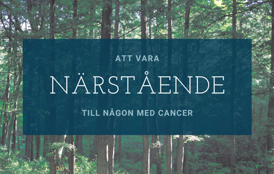 YVONNE Närstående Omslag