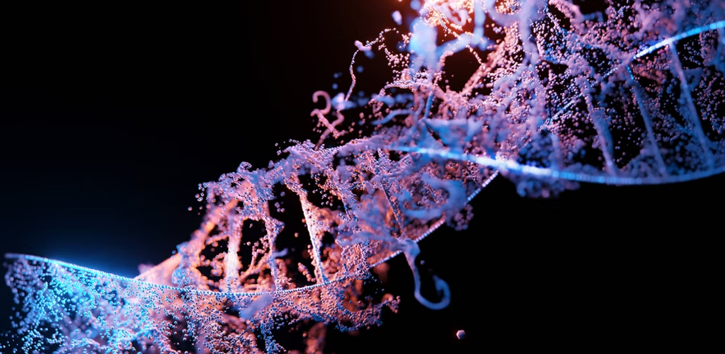 Unsplash DNA