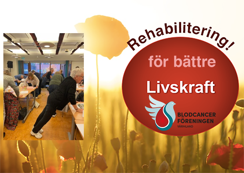 Livskraft Genrebild BLCF Rehabilitering Med Varmlandslogotyp
