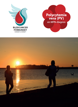 Diagnosbroschyr PV 2025