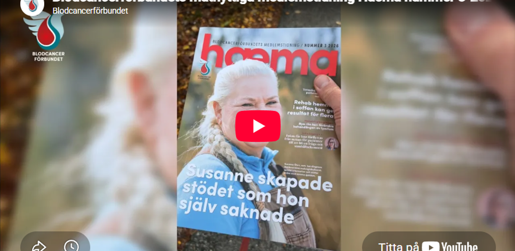 Startbild Videoklipp Hamea 3 2026 Publicerad 2 Omslaget