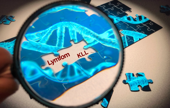 Pusselbitar Saknas Lymfom Och KLL Montage