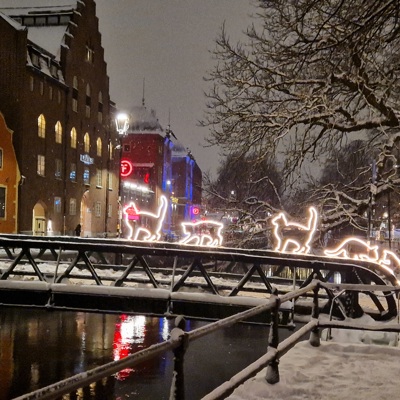 Uppsala Dec 2023 20231209 205159