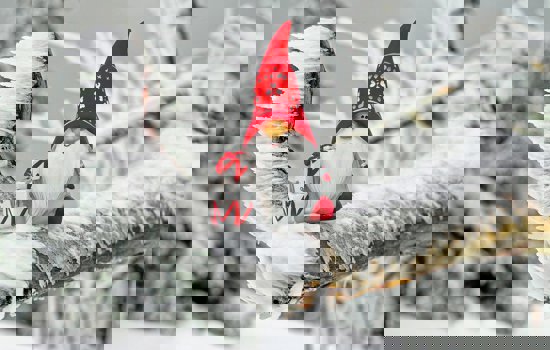 Santa Claus G5655308c1 1280