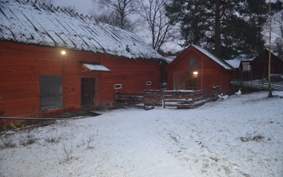 Vallby Friluftsmuseum 2017 112 Bondgården Ölandsgäss