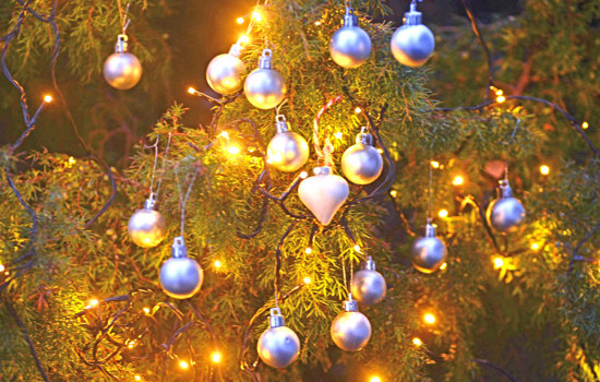 15 Julgranskulor I En En Fhsj Ny Forening Valkomnad 16X9 DSC9547