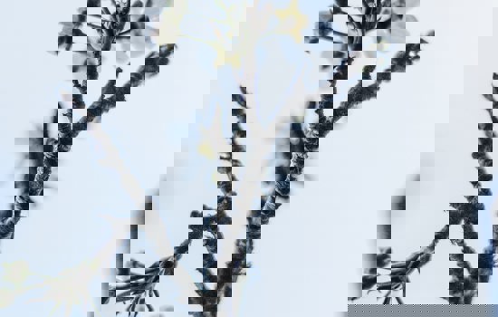 Alexander Montes Ejmueobe U0 Unsplash