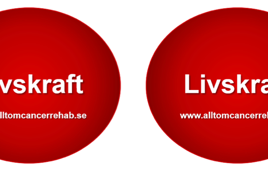 Skärmavbild 2019 11 02 Kl. 09.47.30