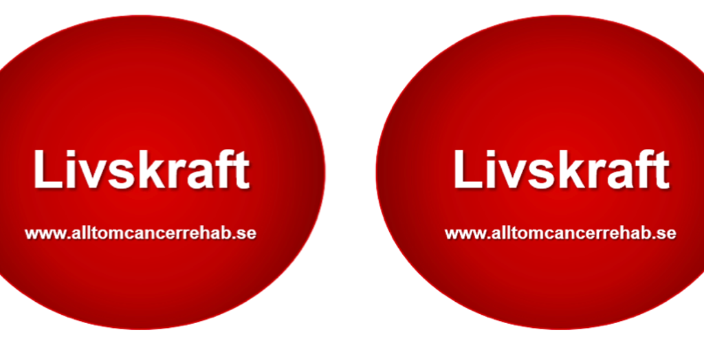 Skärmavbild 2019 11 02 Kl. 09.47.30