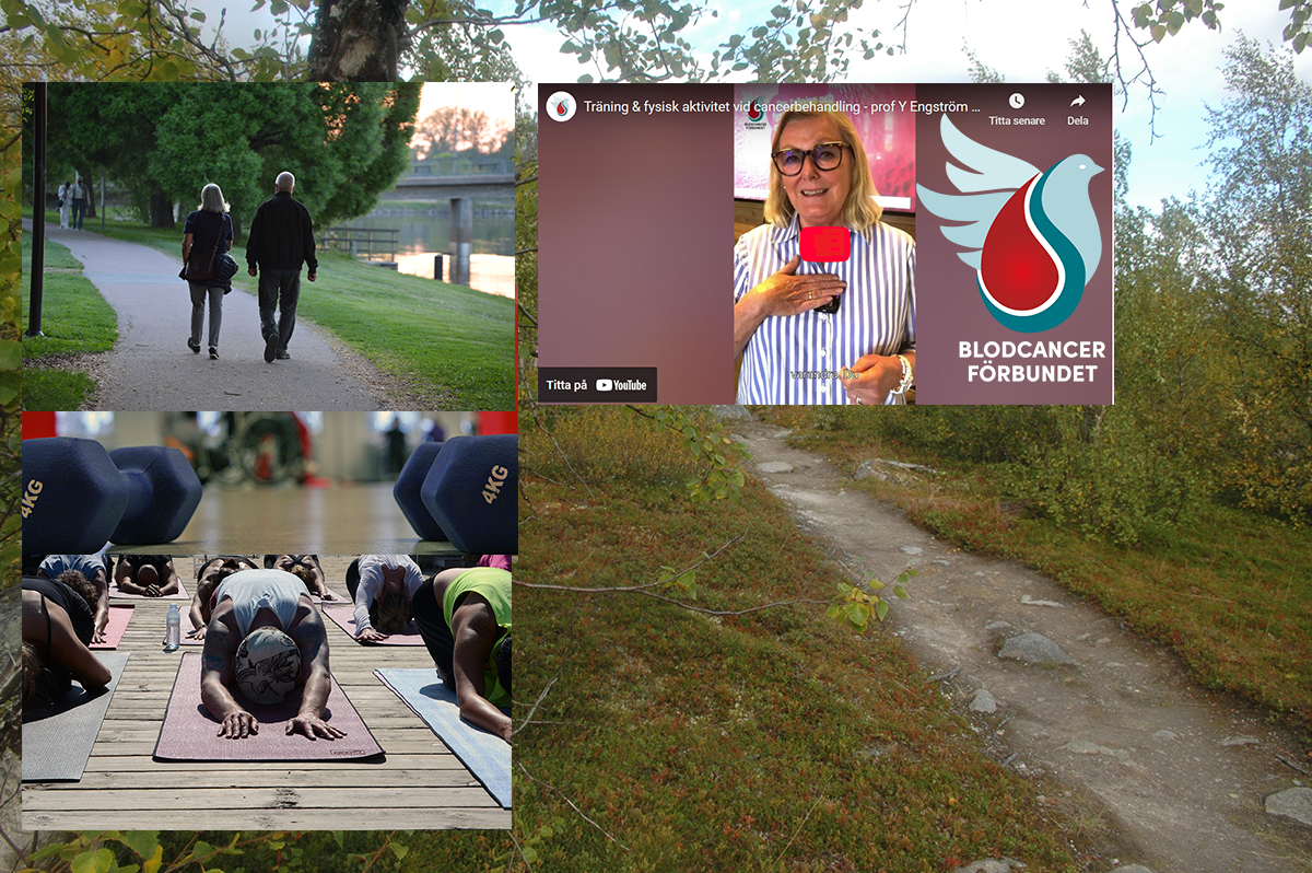 Genrebild Natur Rehab Fjall Fhsj (11) Montage Rehabilder Traning 1200Pxb