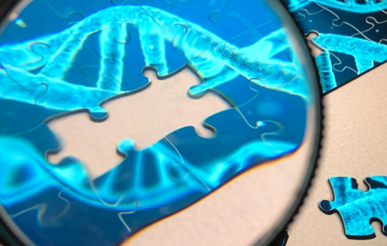 Forskning Pussel Med Fortstoringsglas Fhsj 2912 1200Pxb