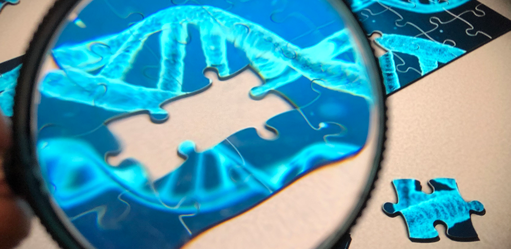 Forskning Pussel Med Fortstoringsglas Fhsj 2912 1200Pxb