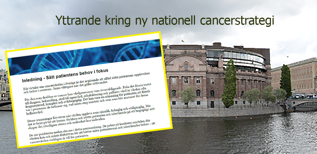 Riksdagshuset Sthlm Genrebild Konstnarlig Fhsj 7979 M BLCF Logga Ny Cancerstrategi Montage (1)