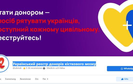 Skarmdump UBMDR Ukrainska Registret