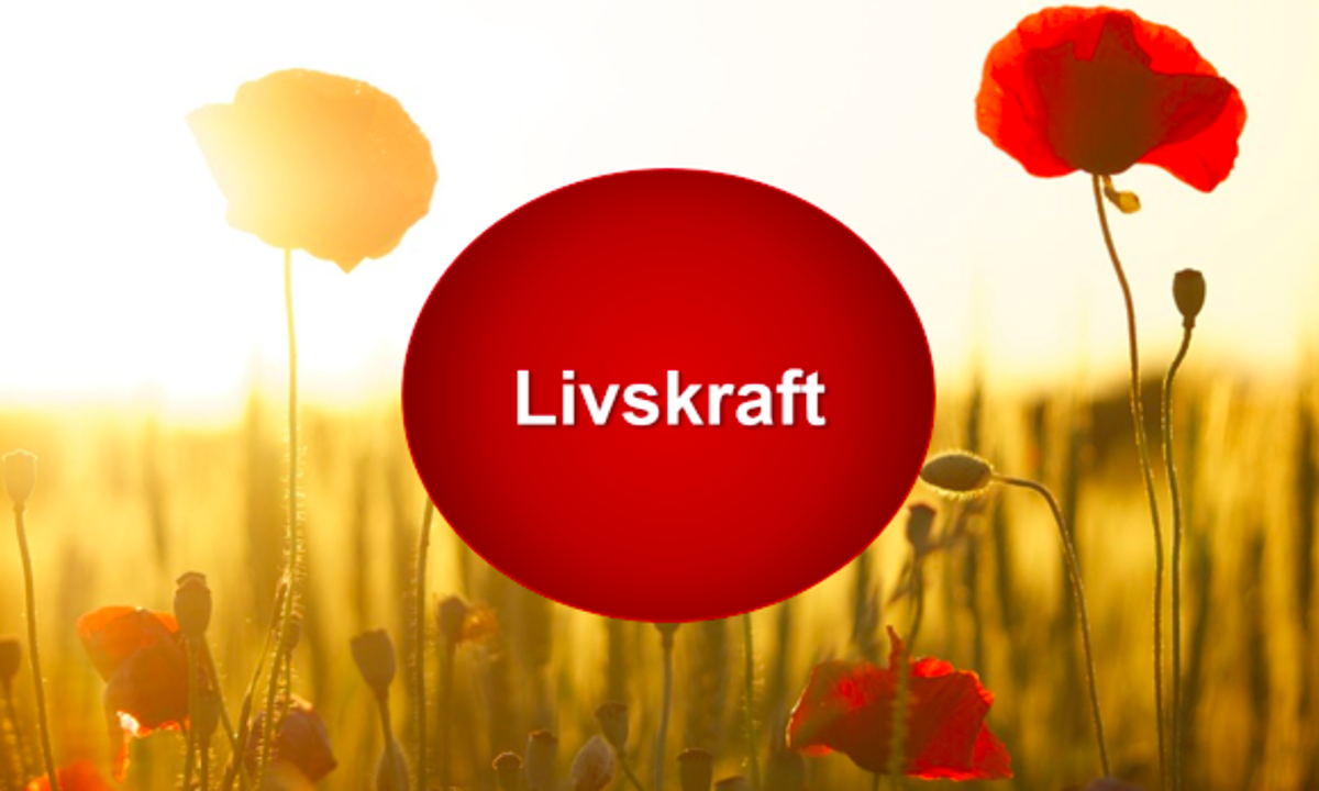 Livskraft