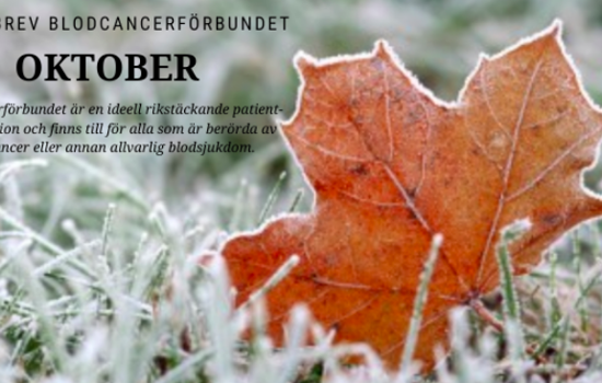 Skärmavbild 2019 11 04 Kl. 07.57.30