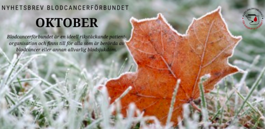 Skärmavbild 2019 11 04 Kl. 07.57.30