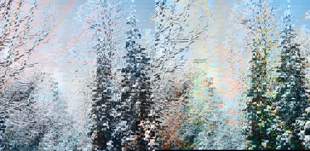 Ian Schneider Dqmxdqdhg 4 Unsplash