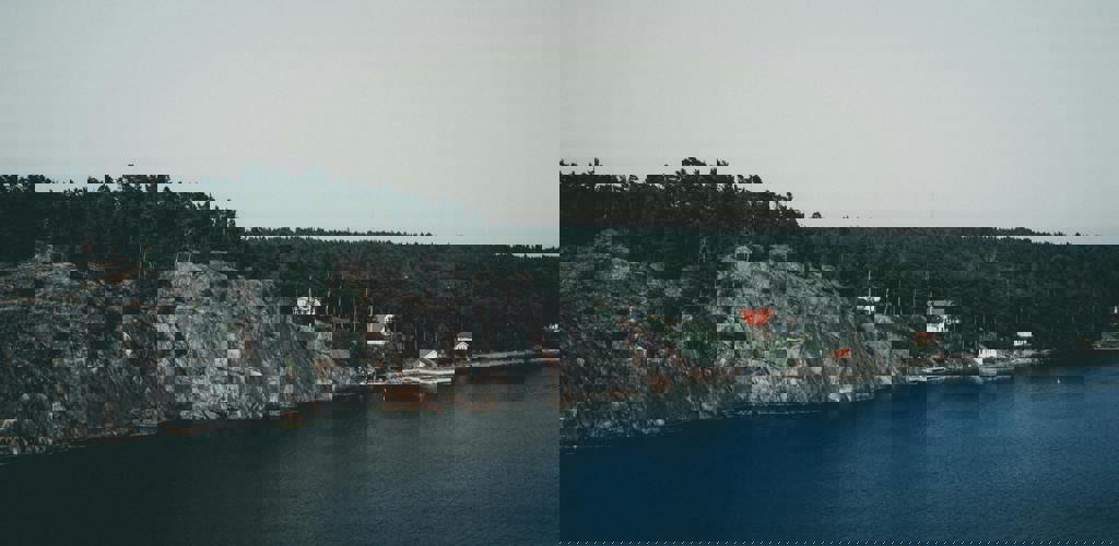 Pexels Danielspase 1694867