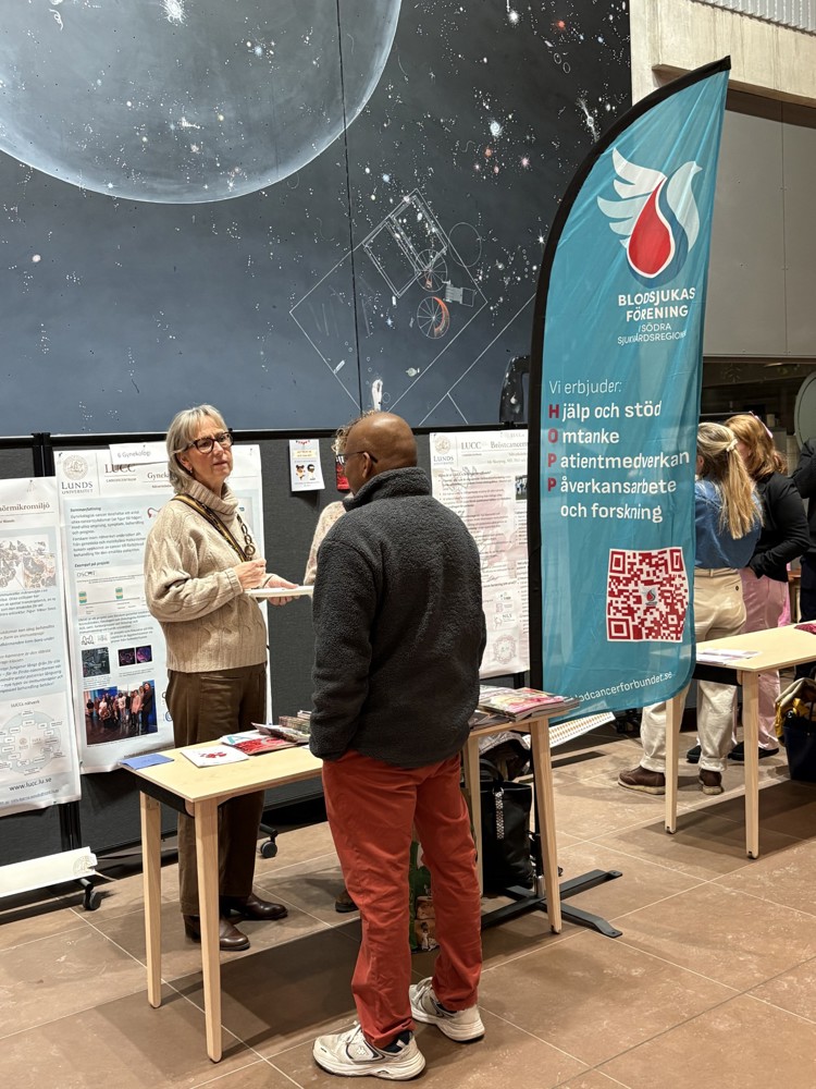 skane VCD 2026 englezon