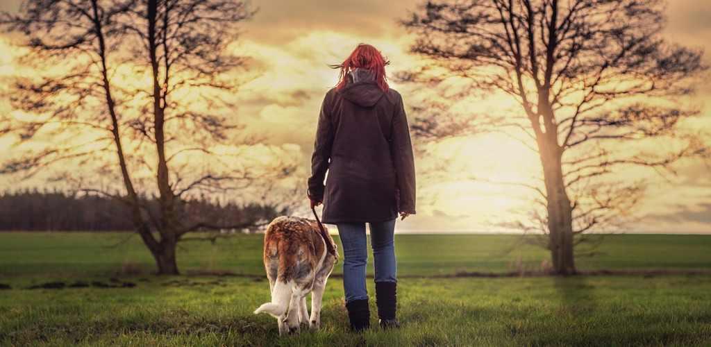 Landscape 3042749 1280