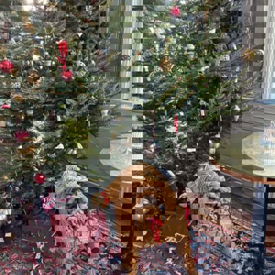 F9165306 7F21 45Aa 8F32 1B2bcf67e790