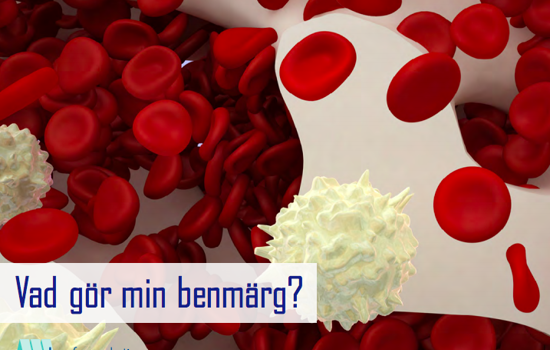 Skärmavbild 2019 03 29 Kl. 20.42.14 (1)