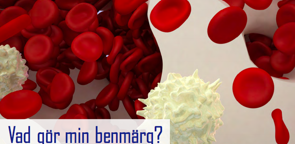 Skärmavbild 2019 03 29 Kl. 20.42.14 (1)