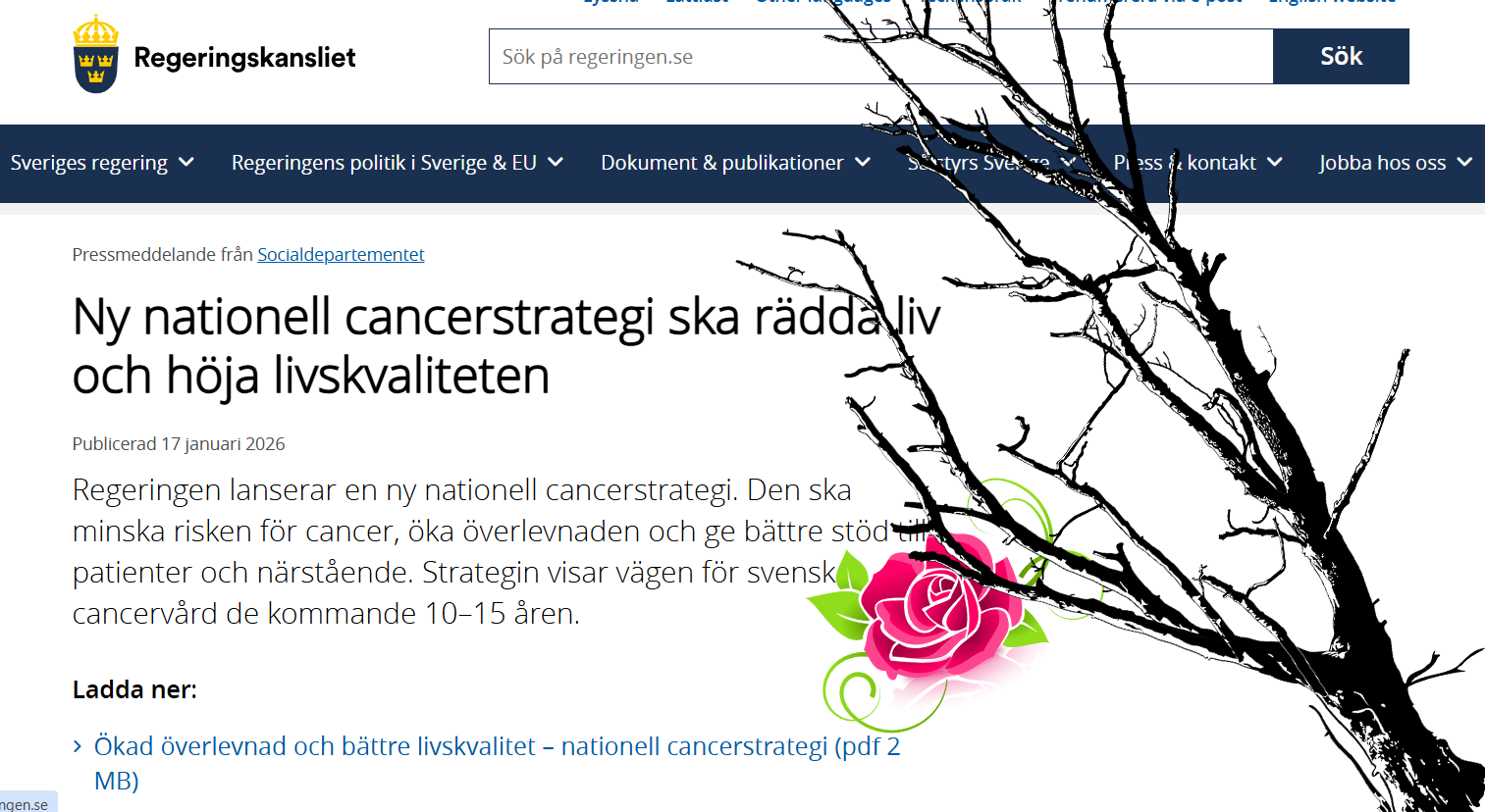 Nationella Cancerstrategin Lanserad 2026 Regeringen Skärmdump Med Ris O Ros