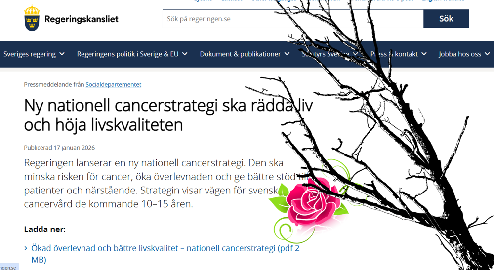 ris o ros till cancerstrategin 2026