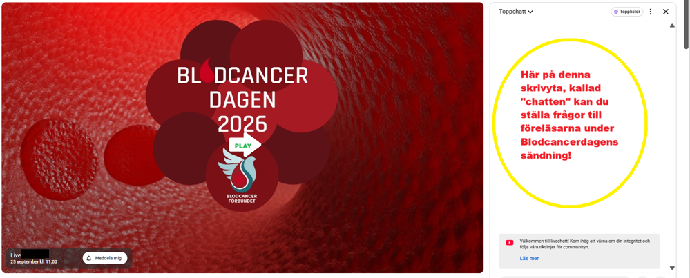 startbild Blodcancerdagens sändning 2026