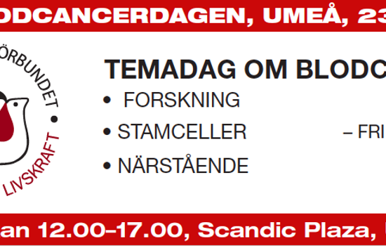 Skärmavbild 2019 11 20 Kl. 07.47.16