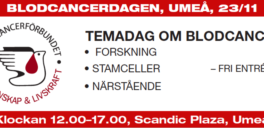 Skärmavbild 2019 11 20 Kl. 07.47.16