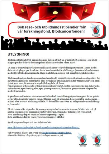 skärmdump resestipendier 2026 fonden