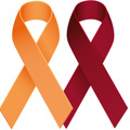 BLCF Logotyp Liggande RGB (1)