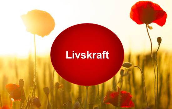 Skärmavbild 2019 09 30 Kl. 16.33.03 (1)